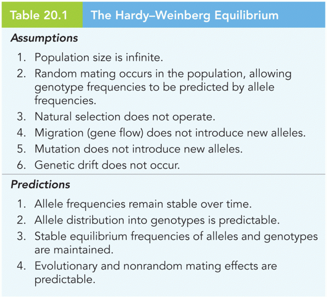 The Hardy–Weinberg Equilibrium