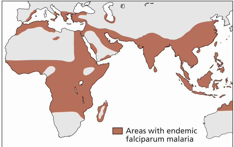Regions of the world where malaria is endemic are shown