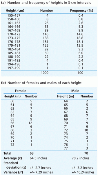 Adult height