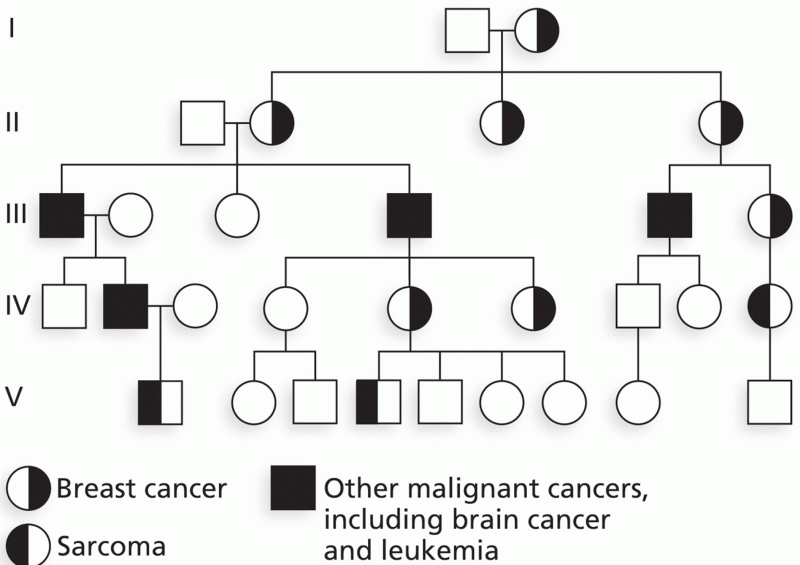 Li–Fraumeni syndrome