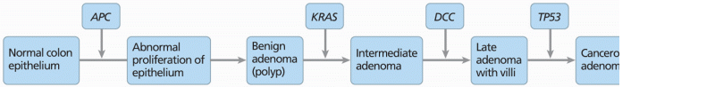 utation acquisition in familial adenomatous polyposis