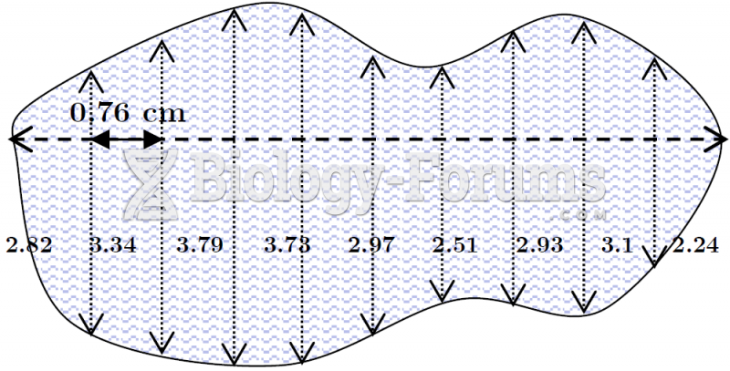 Offset Method Plot of Land with Measurements