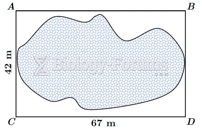 Plot of Land (Modified Offset Method) - Boxed