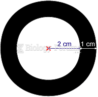 Calculating the area of a circular ring