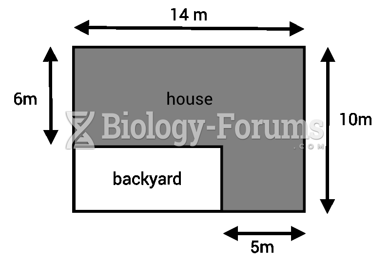 House, backyard measurements