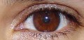 Light Brown Eye Color