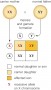 X-Linked Recessive Pattern