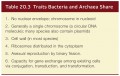 Traits Bacteria and Archaea Share