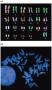 Fluorescent in situ hybridization (FISH)