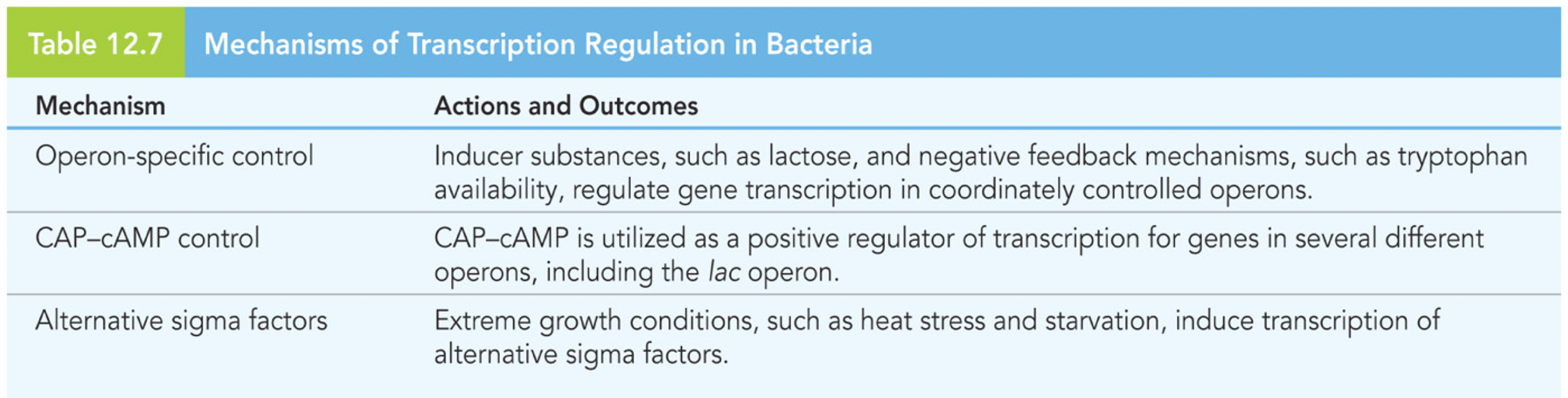 Mechanisms of Transcription Regulation in Bacteria