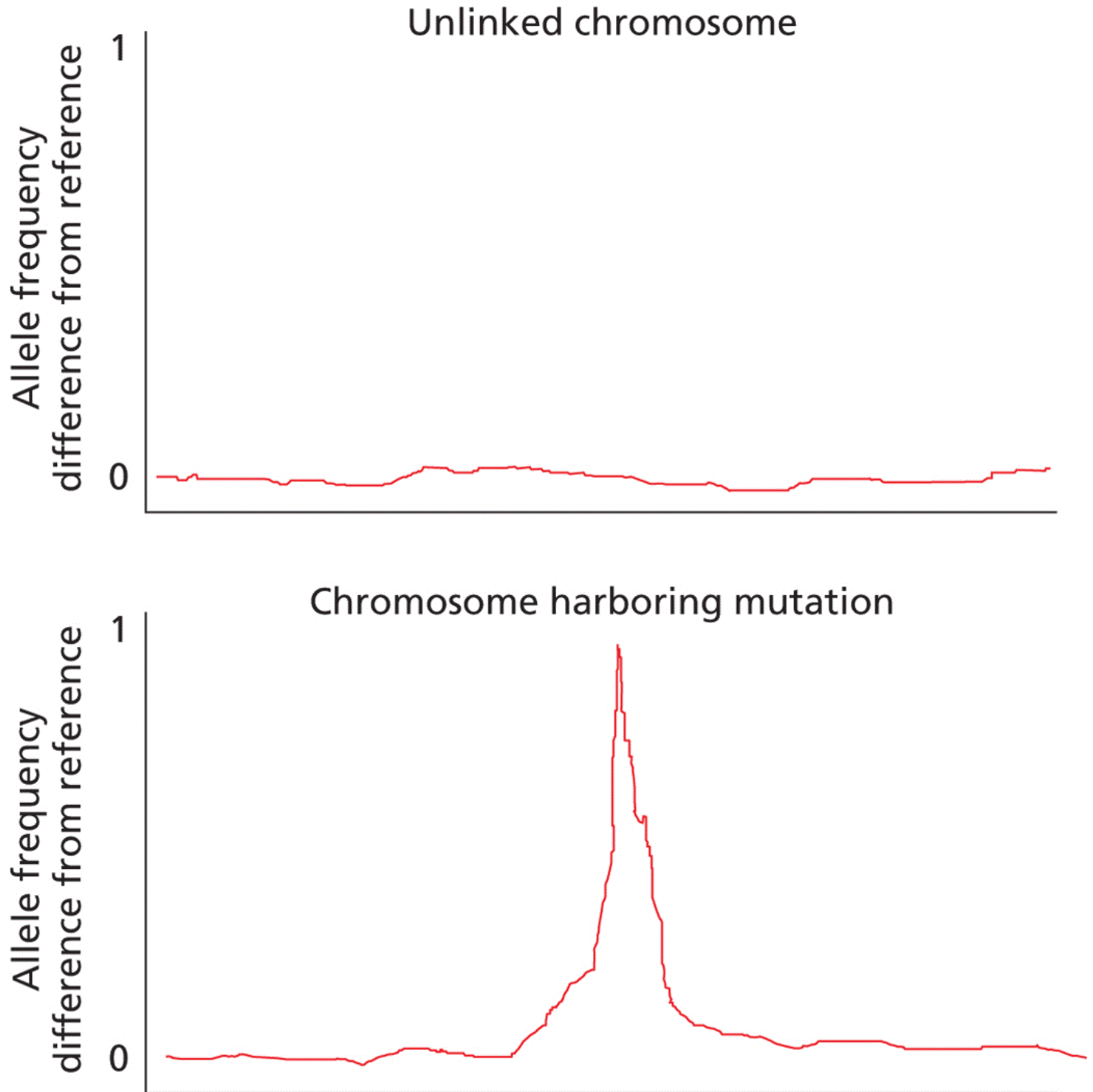 Synthetic enhancement 