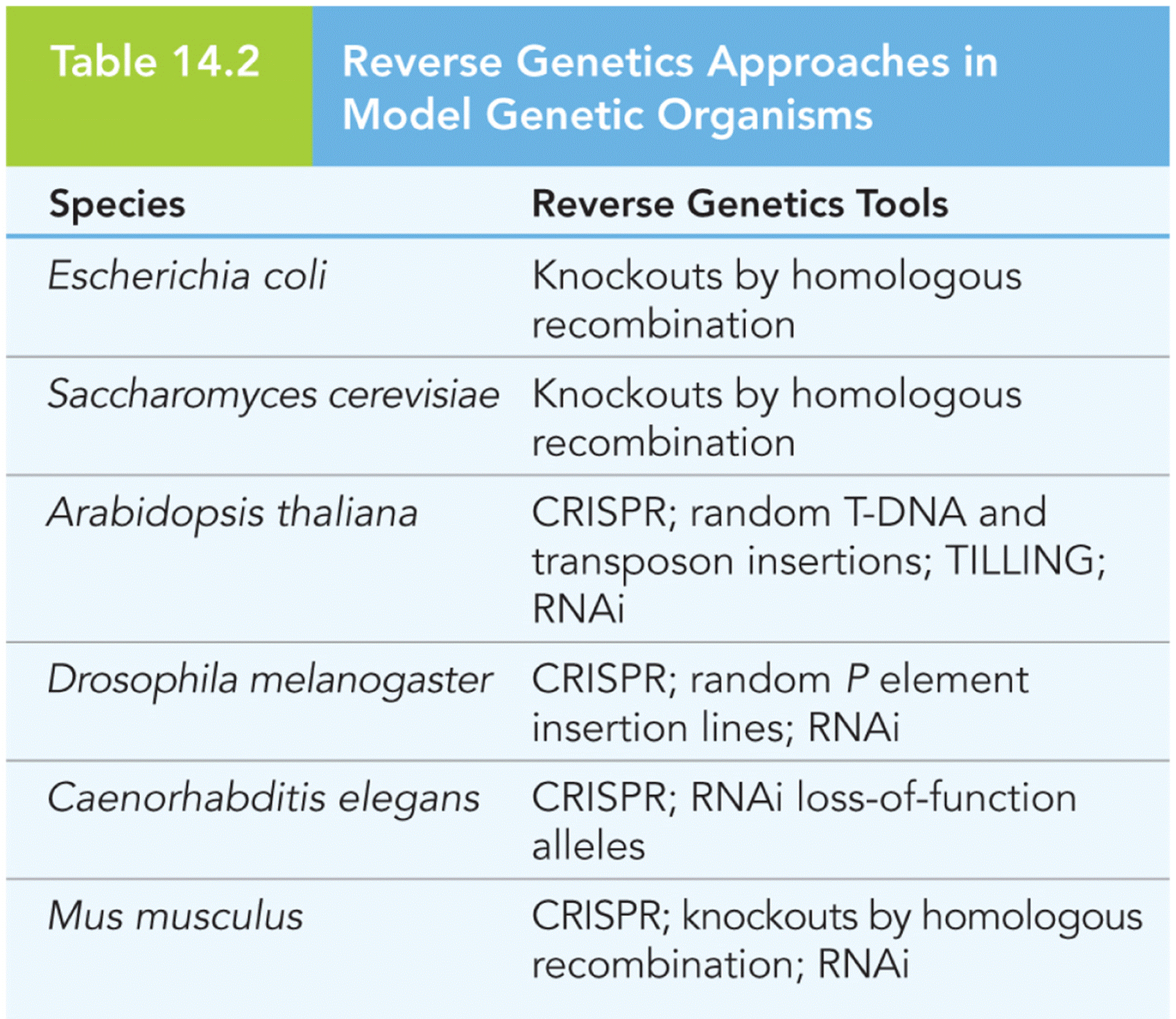 Reverse Genetics Approaches in Model Genetic Organisms