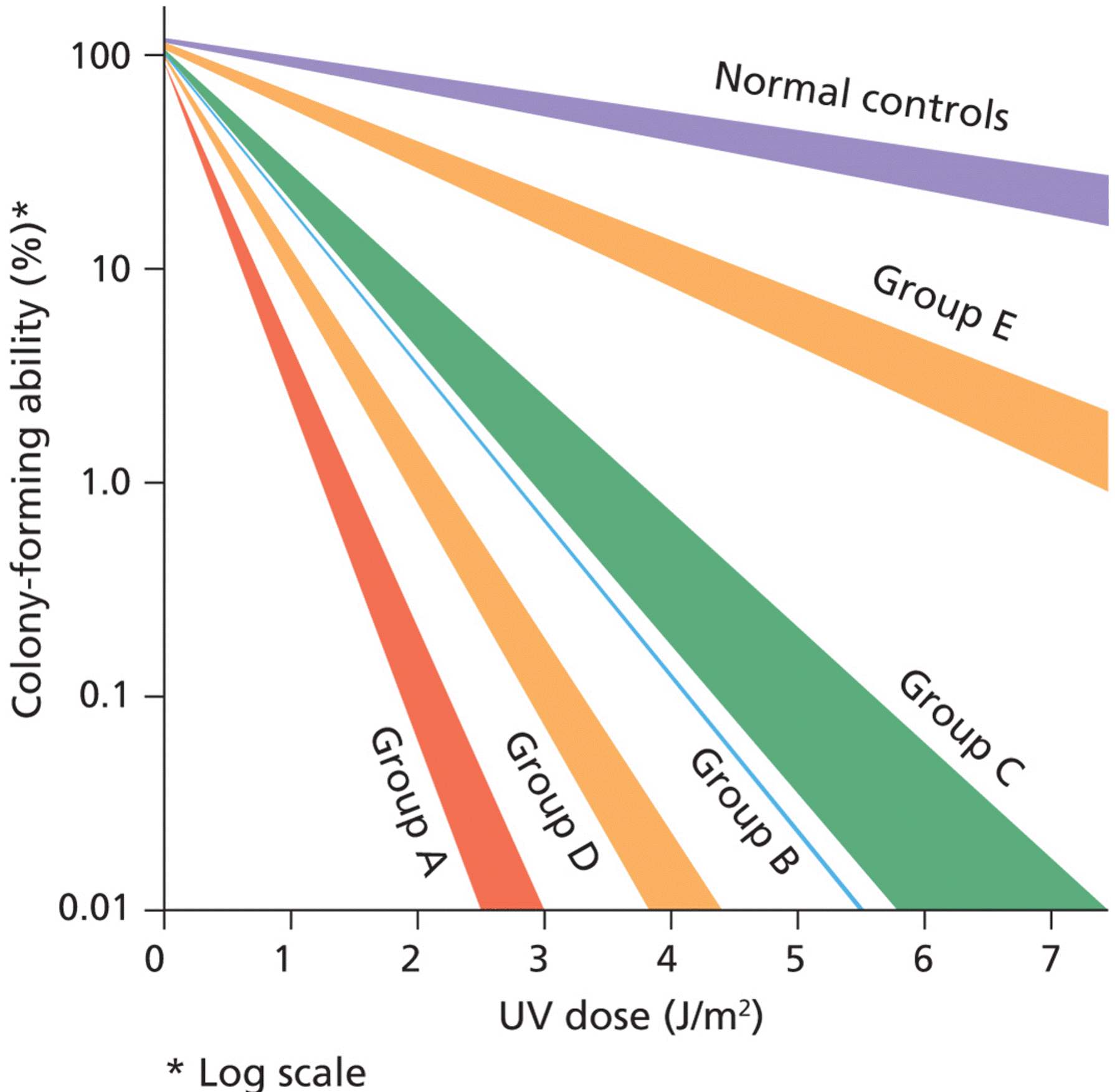 Growth of cultured cells from patients with xeroderma pigmentosum (XP)