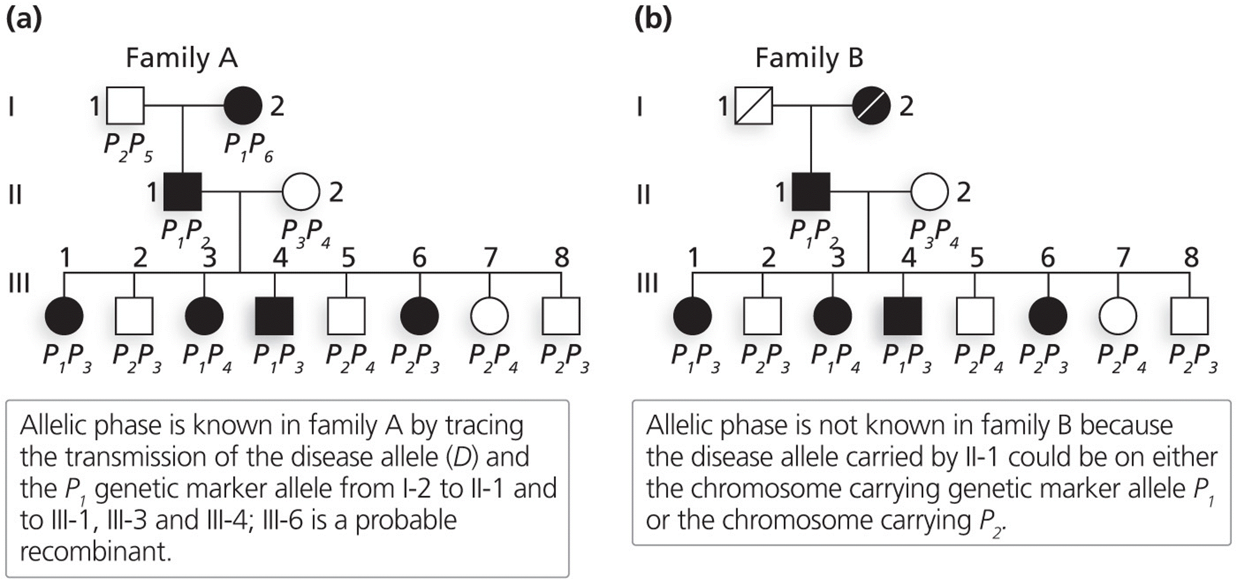 Allelic phase analysis in human families A and B