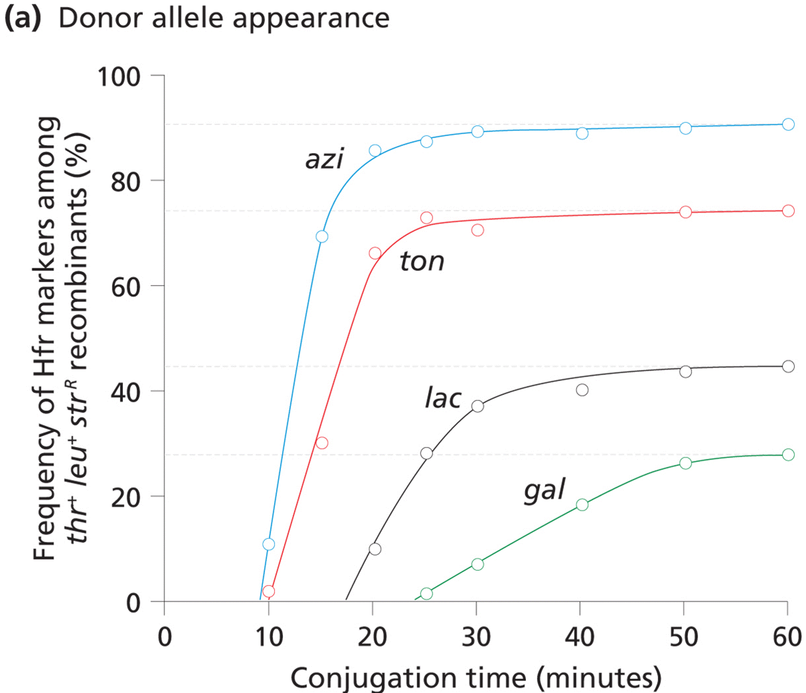 Time-of-entry mapping