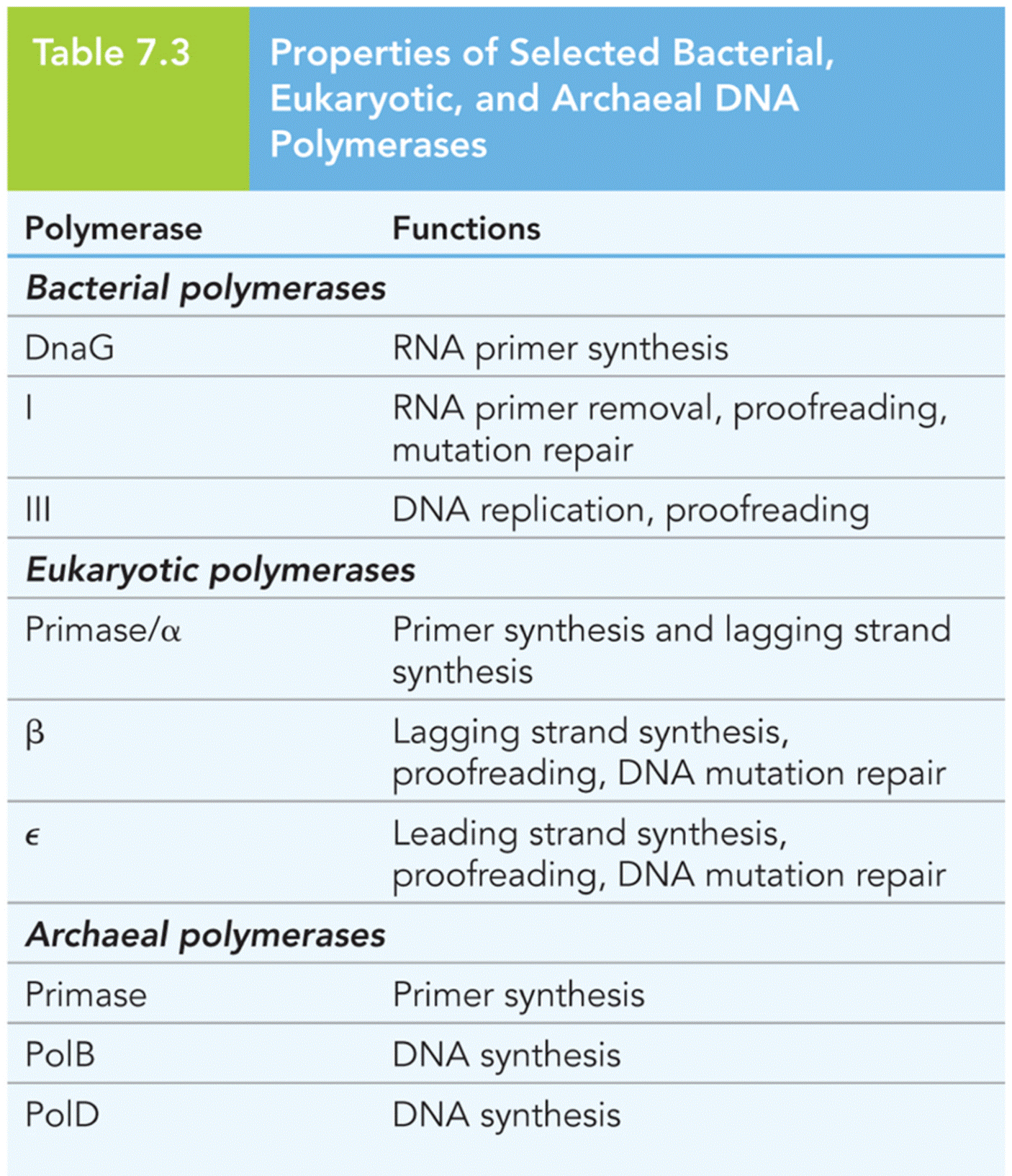 Properties of Selected Bacterial, Eukaryotic, and Archaeal DNA Polymerases