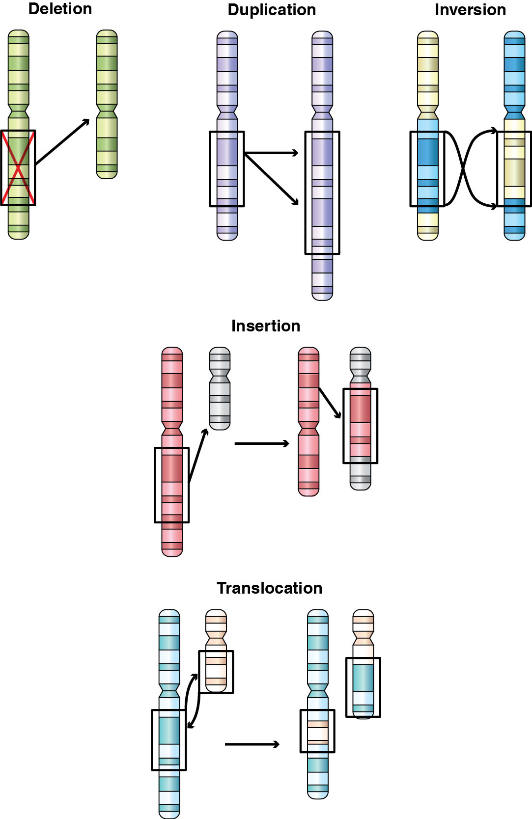 Types of mutations