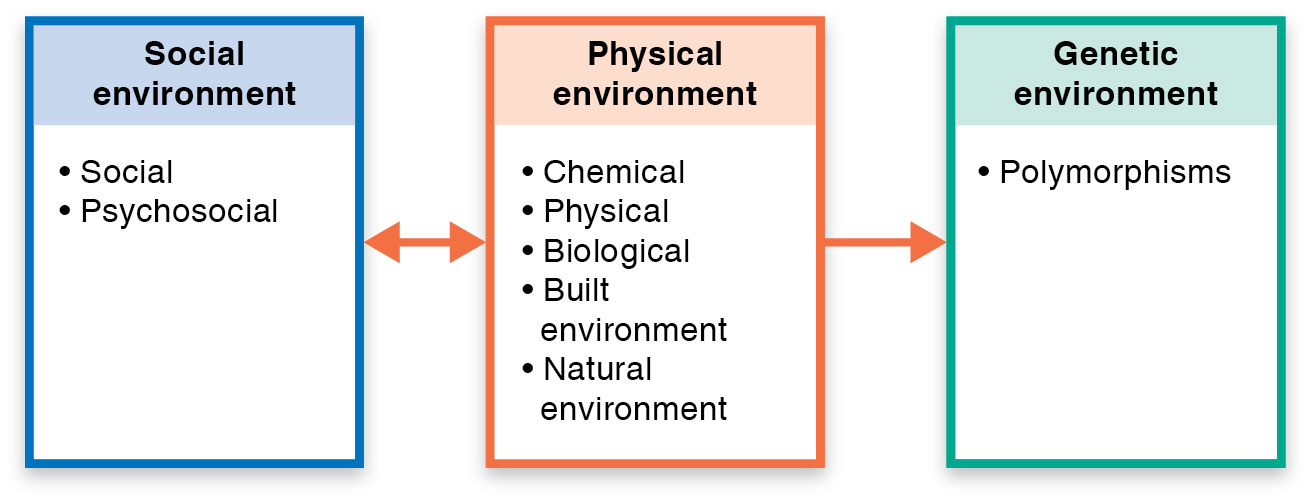 Ecological model for environmental health