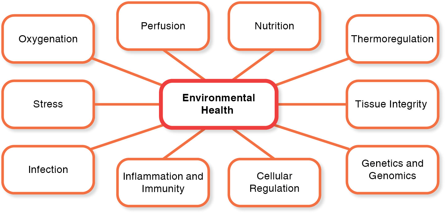 Concepts related to environmental health