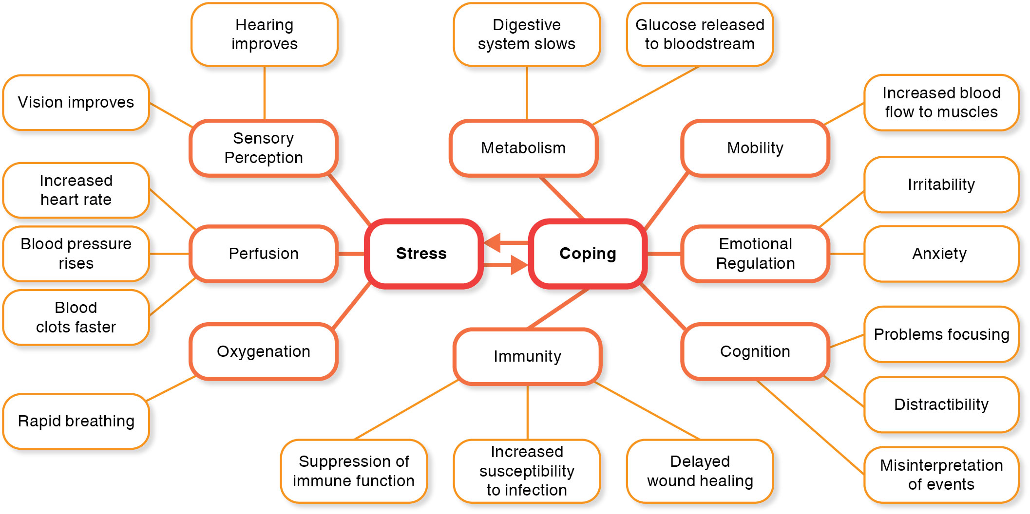 Concepts related to stress and coping