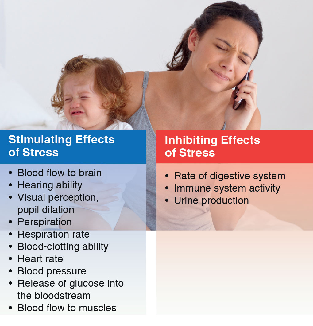 Bodily effects of stress