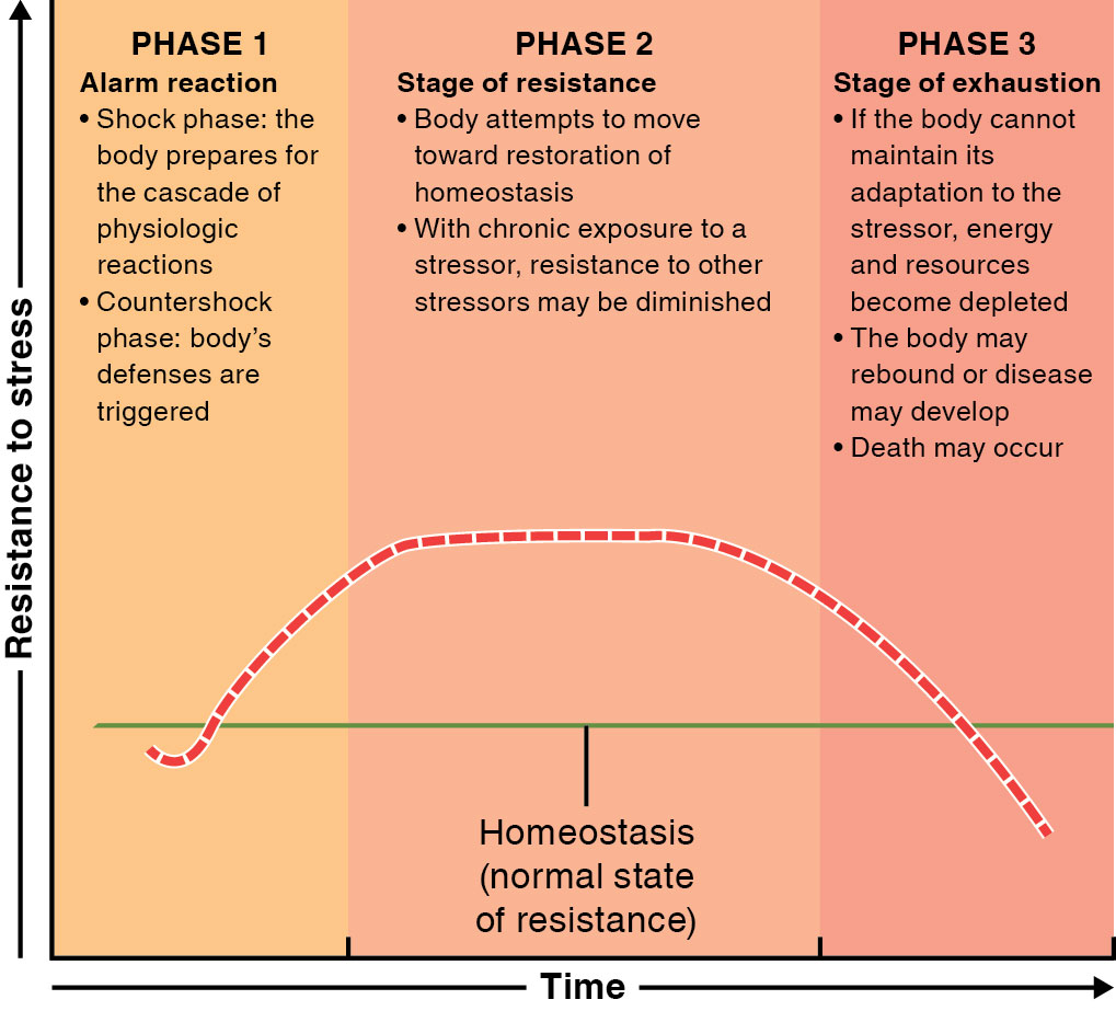 General adaptation syndrome