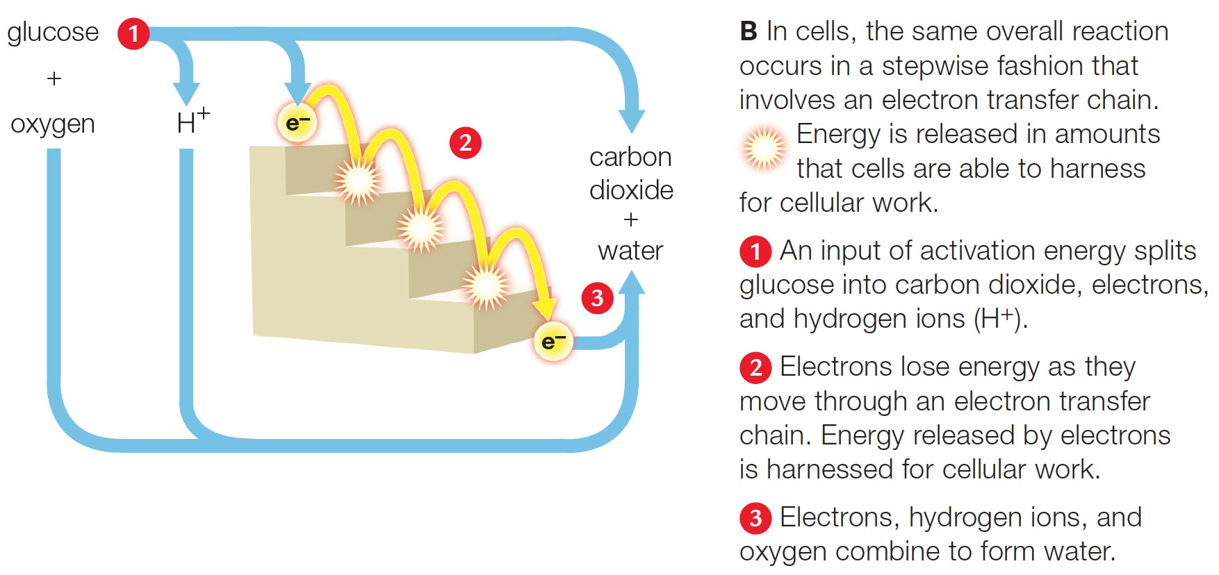 Comparing uncontrolled and controlled energy release.