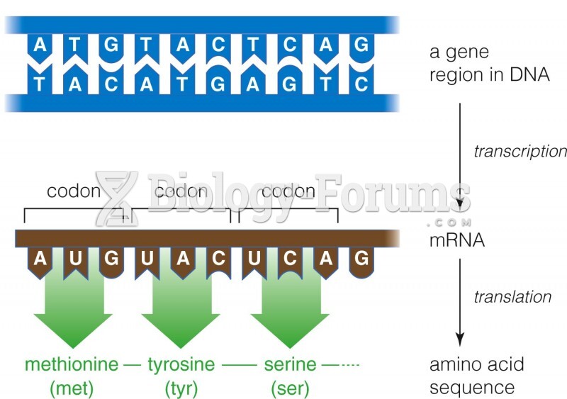 From DNA to RNA to Amino Acids
