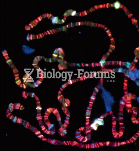 Drosophila Polytene Chromosomes