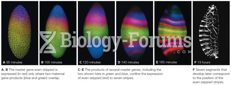 Gene Expression Control in a Fly