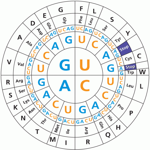 The genetic code