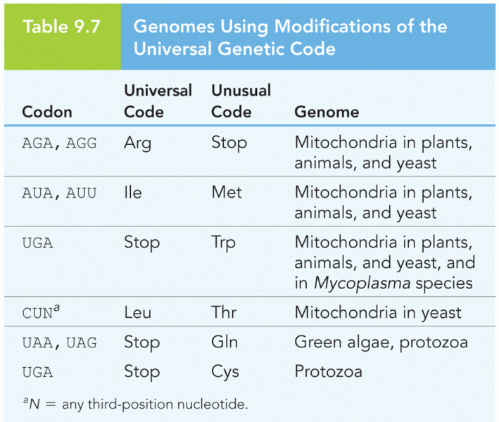 Genomes Using Modifications of the Universal Genetic Code