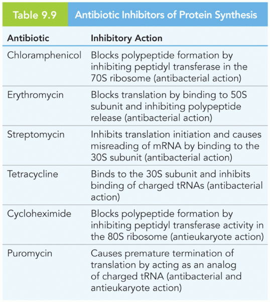 Antibiotic Inhibitors of Protein Synthesis