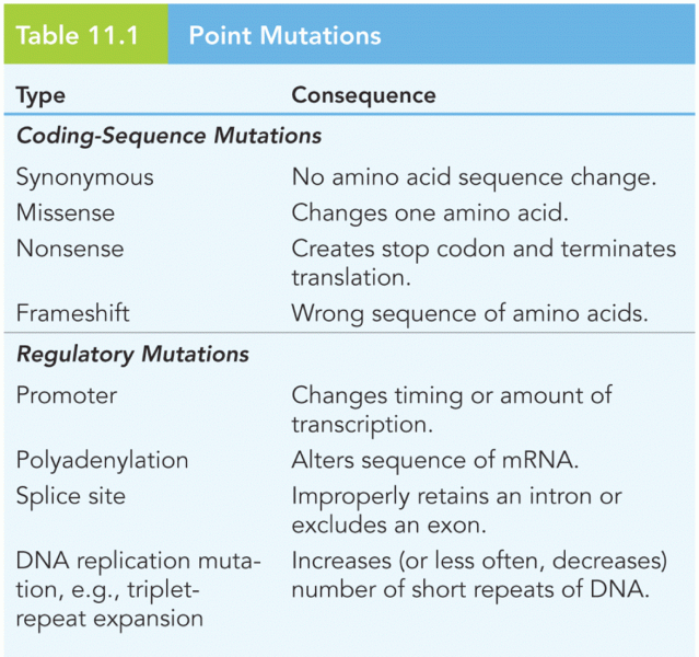 Point Mutations