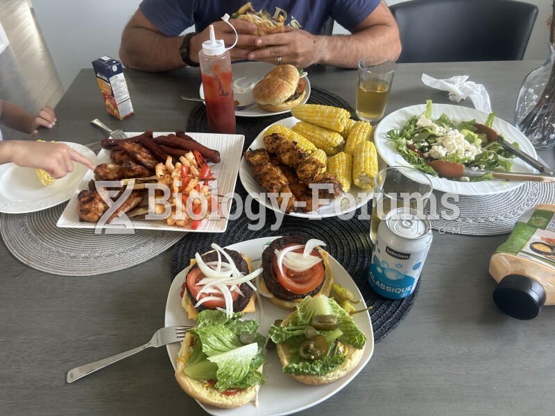 Bbq shrimps, burgers and chicken with buttery corn