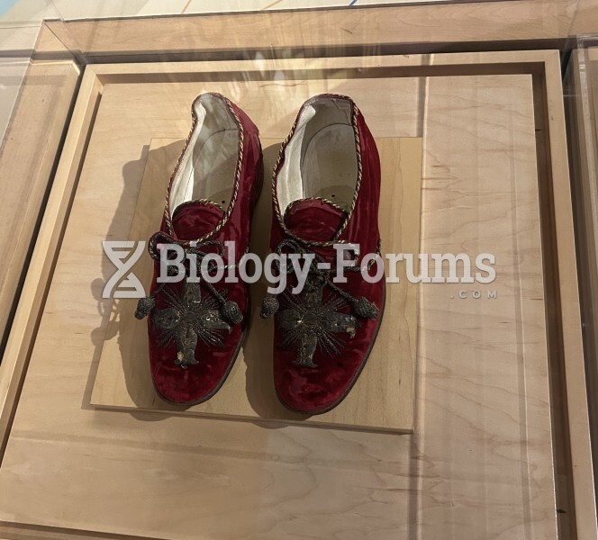 This red velvet shoes belonged to Pope Benedict XV