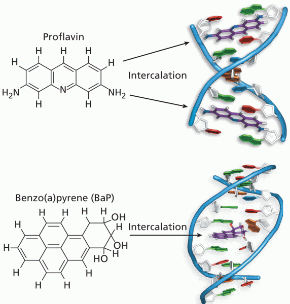 DNA intercalating agents