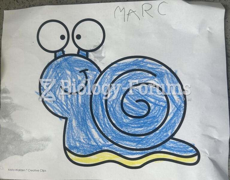 Snail drawing jk