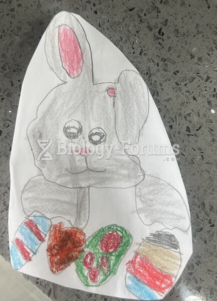 Easter bunny drawing by Marc kindergarten