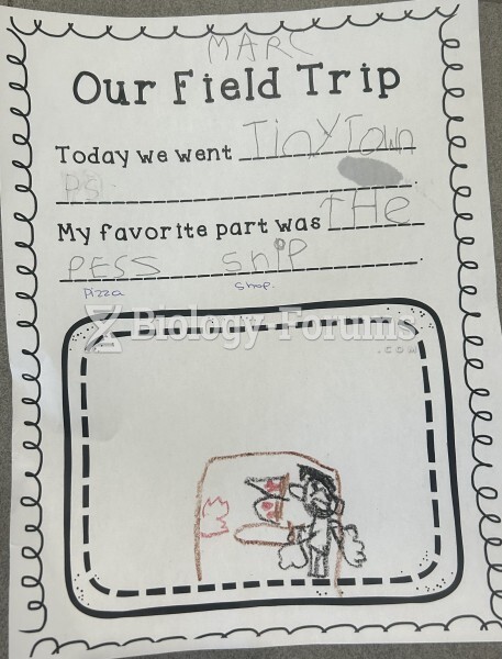 Kindergarten field trip