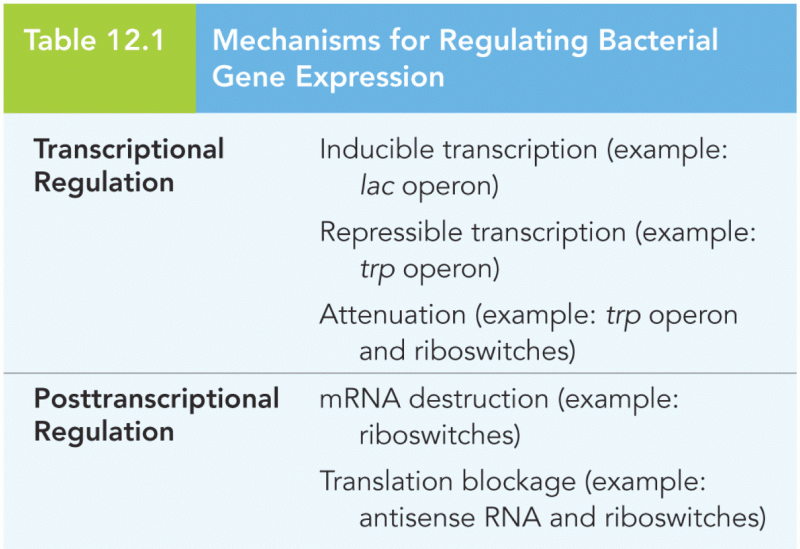 Mechanisms for Regulating Bacterial Gene Expression