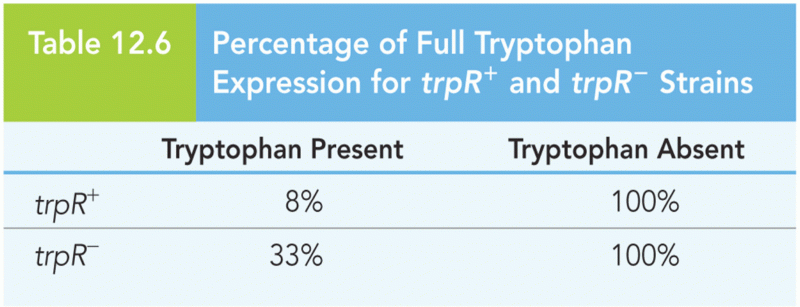 Percentage of Full Tryptophan Expression for trpR+ and trpR- Strains