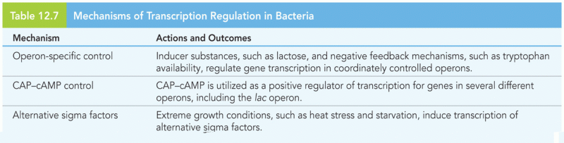 Mechanisms of Transcription Regulation in Bacteria