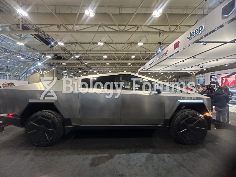 Tesla cyber truck