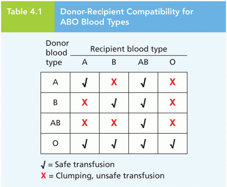 Donor-Recipient Compatibility for ABO Blood Types