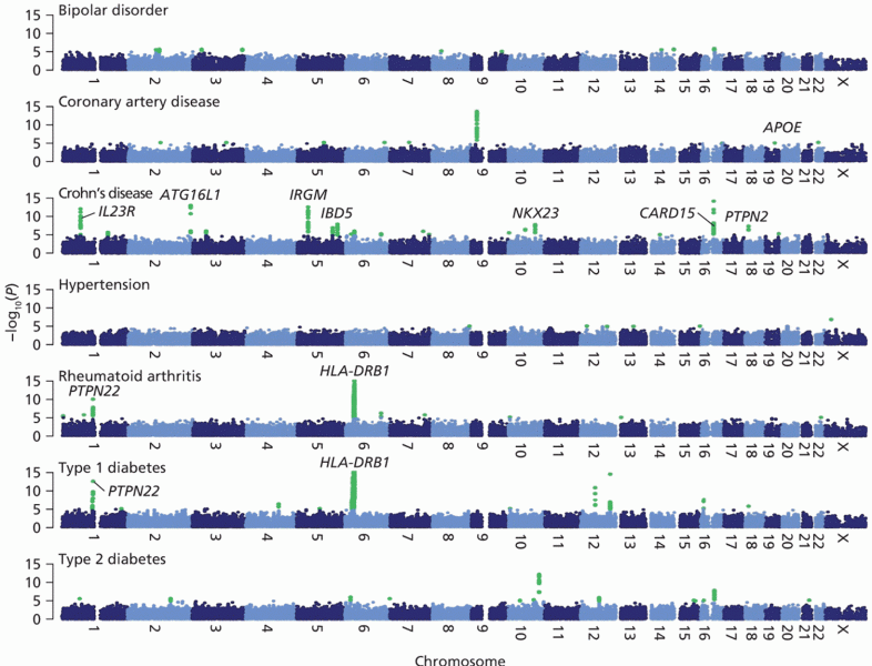 Manhattan plots resulting from a genome-wide association study of seven common human disease