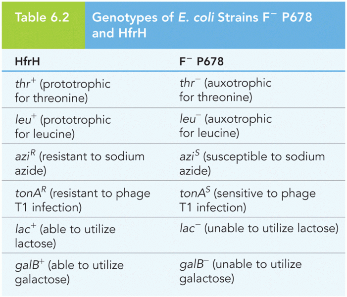 Genotypes of E. coli Strains F− P678 and HfrH