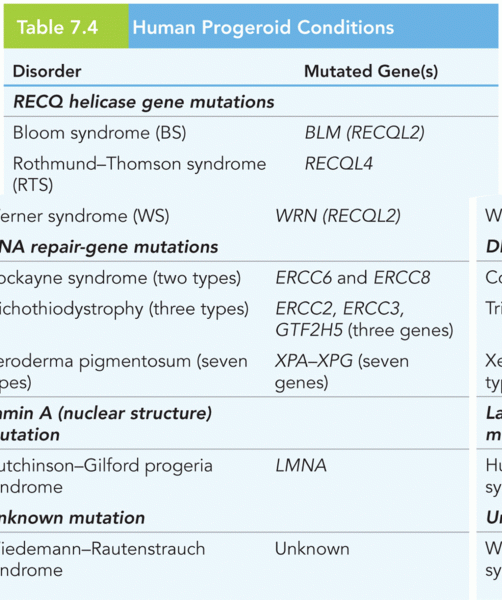 Human Progeroid Conditions