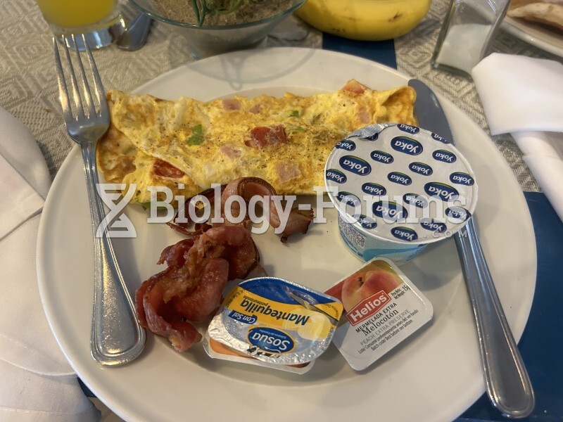 Dominican omelette with bacon