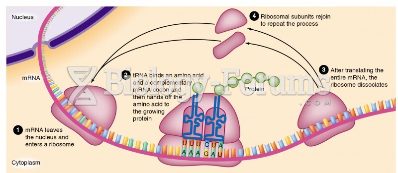 Translation of mRNA